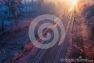 Awe-Inspiring Views on a Train Ride through the Autumn Forest Stock Photo