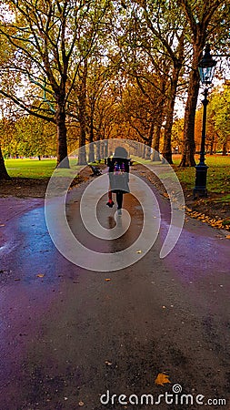 Awesome Autumn Colours Editorial Stock Photo