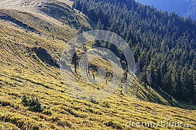 Awesome mountain landscape, nature and its beauty, located on the Red Mountain, Romania. Haymaking in the mountains Stock Photo