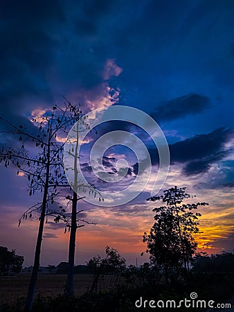 Awesome Purple sky with silhouette Stock Photo