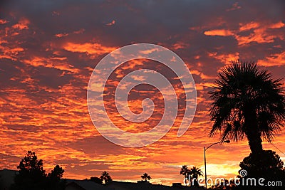 Awesome sunset Stock Photo