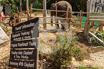 The awful scene of a adult Asian elephant and her calf chained in a small wooden enclosure for the entertainment of tourists in Editorial Stock Photo