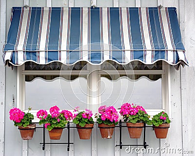 Awning with flowers Stock Photo