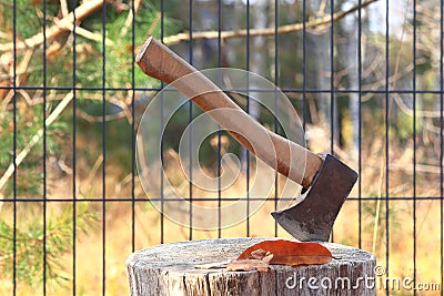 an ax stuck in a tree trunk. Stock Photo