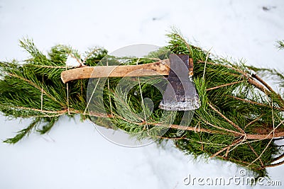 Axe on cut down spruce or pine christmas tree branches on snowy ground. Deforestation ban. Irresponsible behavior Stock Photo