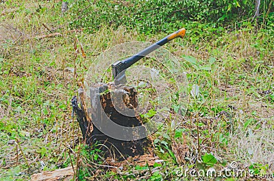 Axe driven into a stump for chopping wood Stock Photo