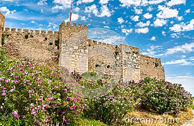 Ayasuluk Castle in Selcuk, Turkey Stock Photo