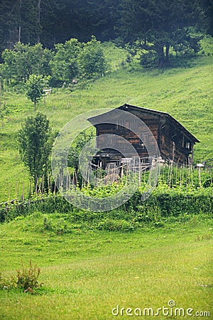 Ayder Plateau Stock Photo