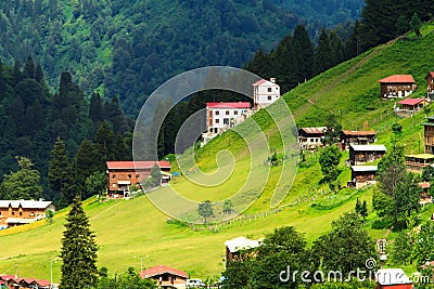 Ayder Plateau Stock Photo