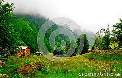 Ayder Plateau Stock Photo