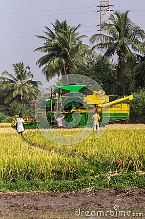 Portrait of pick thresher, in rice field, Ayodhya, Karnataka, India Editorial Stock Photo