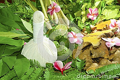 Ayurveda Indian medicine, herbal massage Stock Photo