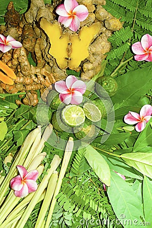 Ayurveda Indian medicine, herbal massage Stock Photo