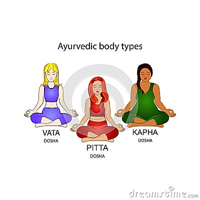 Ayurvedic body types. Vector illustration. Vector Illustration