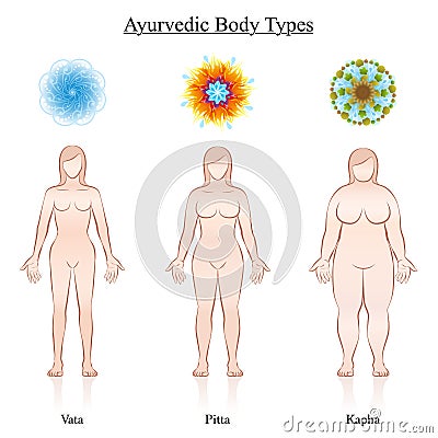 Ayurveda Symbols Vata Pitta Kapha Female Body Types Vector Illustration