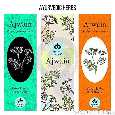 Ayurvedic herbs banners, ajwain Vector Illustration