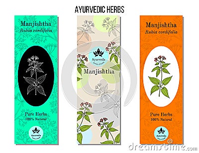 Ayurvedic herbs banners. Manjistha Rubia cordifolia , or Indian madder, medicinal plant Vector Illustration