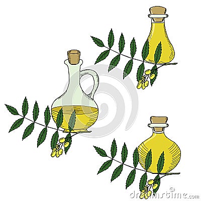 Ayurvedic herbs neem with oil bottles, jug Vector Illustration