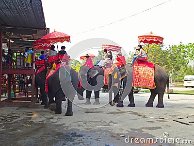 AYUTTHAYA THAILAND-28 FEBRUARY 2019:Ayutthaya Elephant Palace & Royal Kraal.on AYUTTHAYA THAILAND-28 FEBRUARY 2019 Editorial Stock Photo