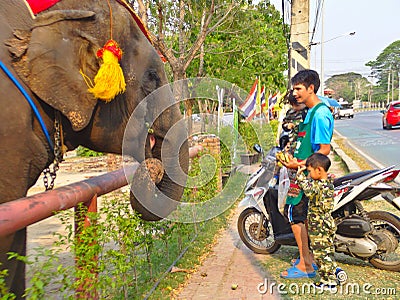 AYUTTHAYA THAILAND-28 FEBRUARY 2019:Ayutthaya Elephant Palace & Royal Kraal Father and son are feeding bananas that are bananas.on Editorial Stock Photo