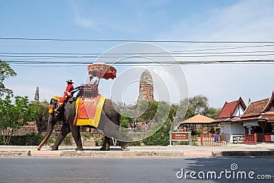 Ayutthaya,Thailand - May 09 2015 : Elephant take visitors tour the temple Editorial Stock Photo