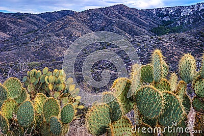 AZ-Prescott-Granite Mountain Wilderness Stock Photo