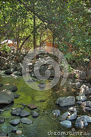 AZ-Sedona-Coconino National Forest Stock Photo