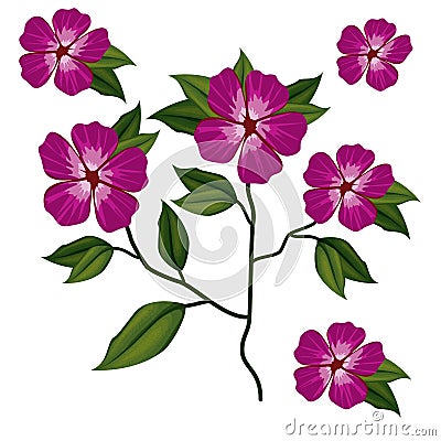 Azalea flower plant in white background Vector Illustration