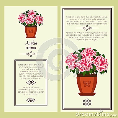 Azalea flower in pot banners Vector Illustration