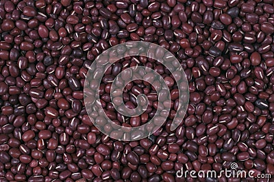 Azuki-beans Stock Photo