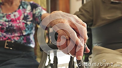 Aînés retenant des mains banque de vidéos Aînés retenant des mains banque de vidéos