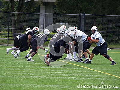 B.C. Lions Football team on the practise Editorial Stock Photo