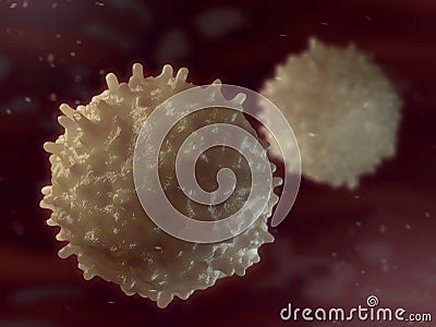 B-lymphocyte. Immune cell. Stock Photo