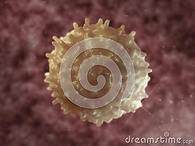 B-lymphocyte. Immune cell. Stock Photo