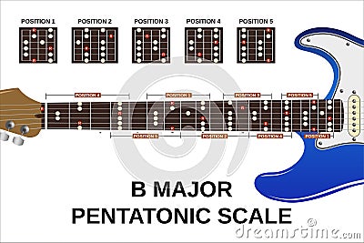 B major pentatonic scale Vector Illustration