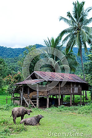 Baan Ja Bo Noodle Mae Hong Son Province Stock Photo