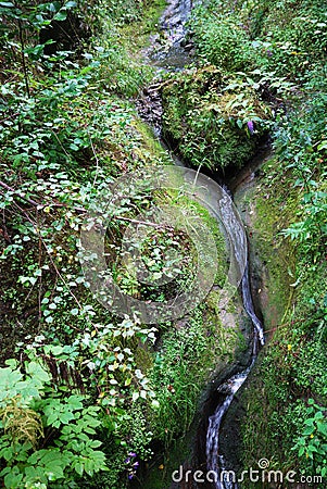 A babbling stream of Marienschlucht ravine. Stock Photo