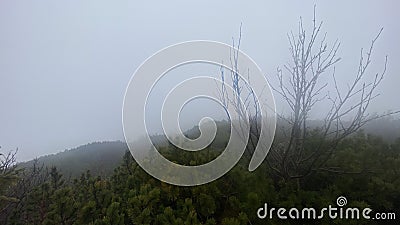 Babia GÃ³ra Mountain Stock Photo