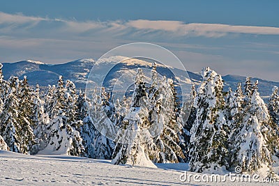 Babia hora mountain from Kubinska Hola during winter Stock Photo