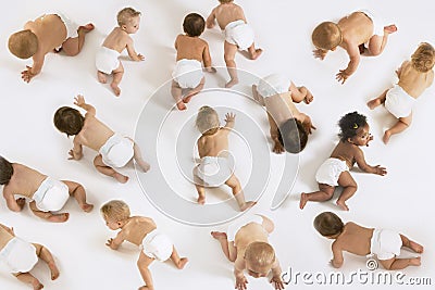 Babies Crawling On White Background Stock Photo