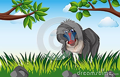 Baboon living in the forest Vector Illustration