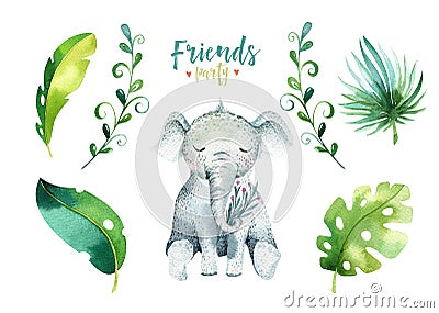 Baby animals nursery isolated illustration for children. Watercolor boho tropical drawing, child cute tropic turtle Cartoon Illustration