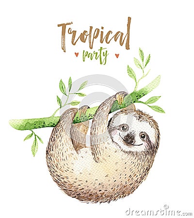 Baby animals sloth nursery isolated painting. Watercolor boho tropical drawing, child tropical illustration. cute palm Cartoon Illustration