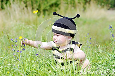 Baby in bee costume reaches for a flower Stock Photo