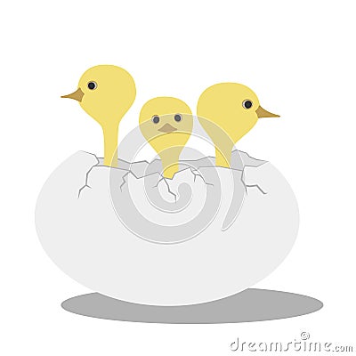 Baby birds Vector Illustration