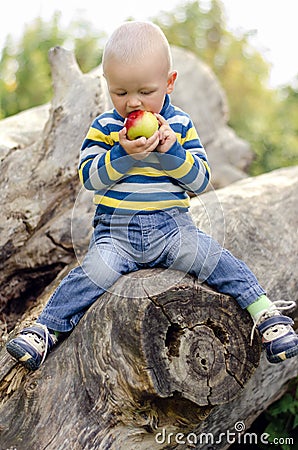 Baby boy biting an apple Stock Photo