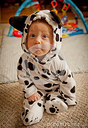 Baby boy In Dalmatian costume Stock Photo