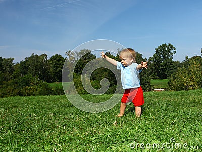 Baby boy on the meadow Stock Photo