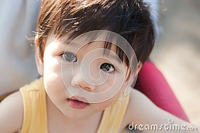 Baby Boy on a stroller and Wonder. Stock Photo