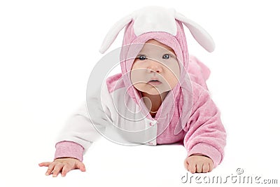 Baby bunny Stock Photo